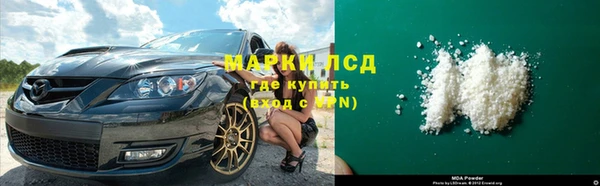 гашик Нея
