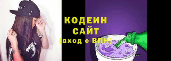 гашик Нея