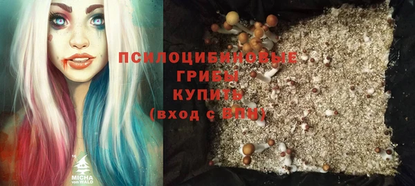 Альфа ПВП Нефтекумск