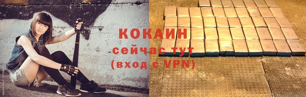 гашик Нея