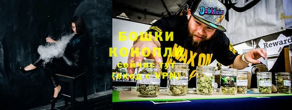 гашик Нея