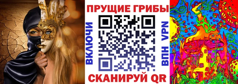 Псилоцибиновые грибы Magic Shrooms  наркота  Касимов 