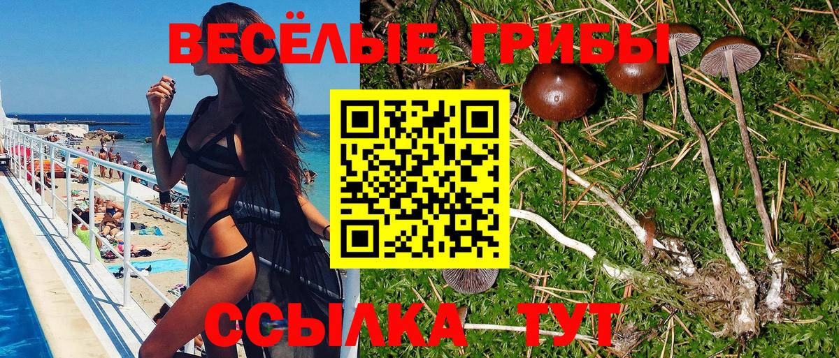 Галлюциногенные грибы прущие грибы Касимов