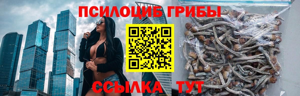 Галлюциногенные грибы мухоморы Касимов